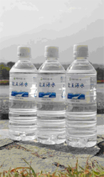 甲斐のうまい水
「龍王源水」