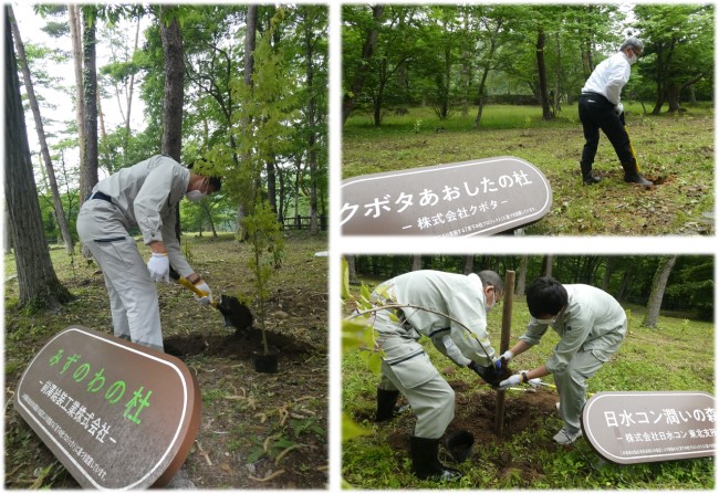 植樹活動